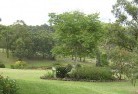 Calico Creekresidential-landscaping-40.jpg; ?>